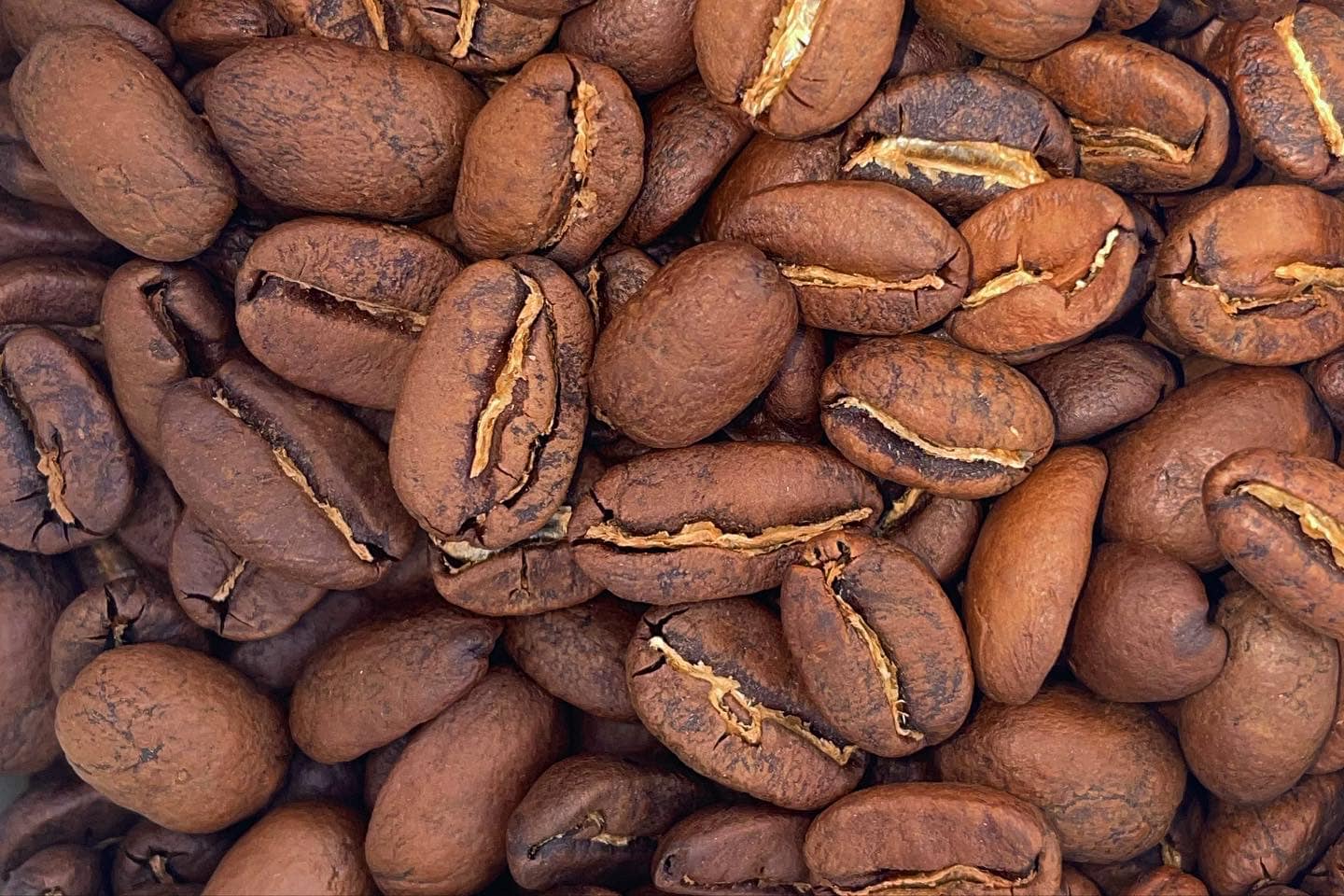 JITTER COFFEE ROASTERS: THE CAT'S PAJAMAS